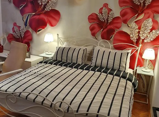 App Paris 6 Umag